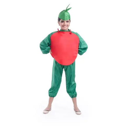 Tomato Costume for boys and Girls for Fancy dress competitions Fancydresswale