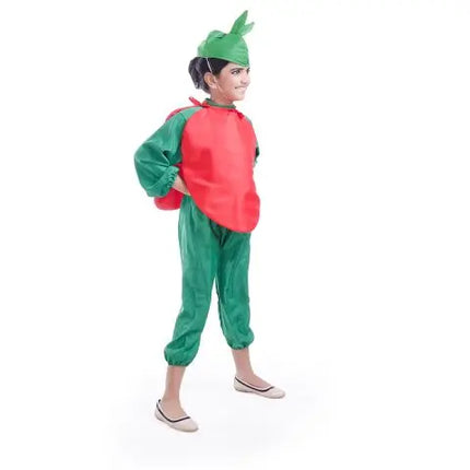 Tomato Costume for boys and Girls for Fancy dress competitions Fancydresswale