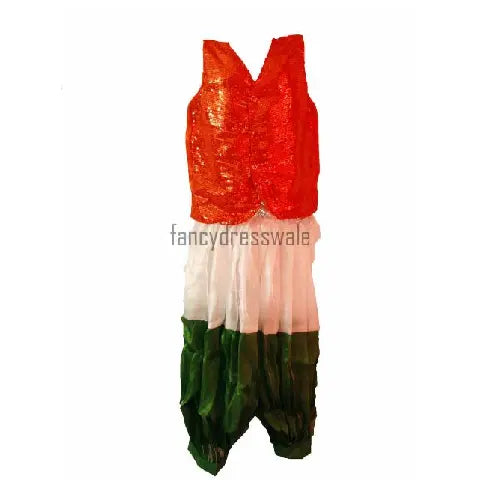 Tri Color Border Saree for girls Fancydresswale