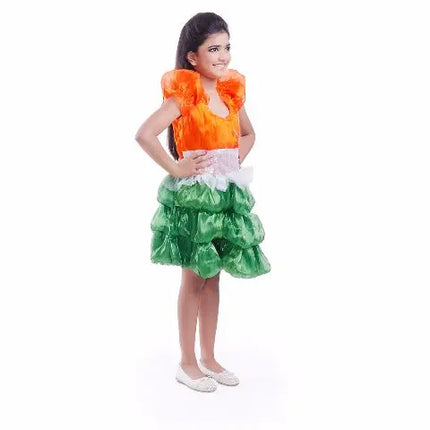 Tri color Girl Costume for National Festivals Fancydresswale