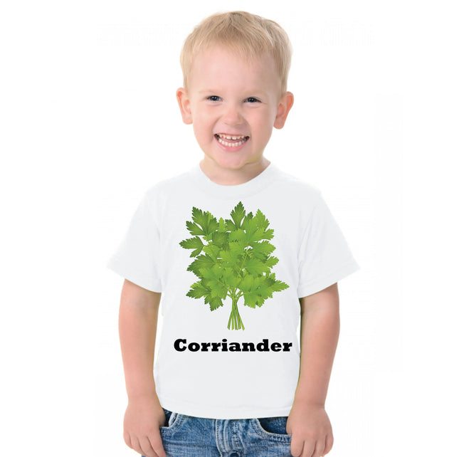Vegitables Theme Fancy Dress Costumes Corriander Fancydresswale